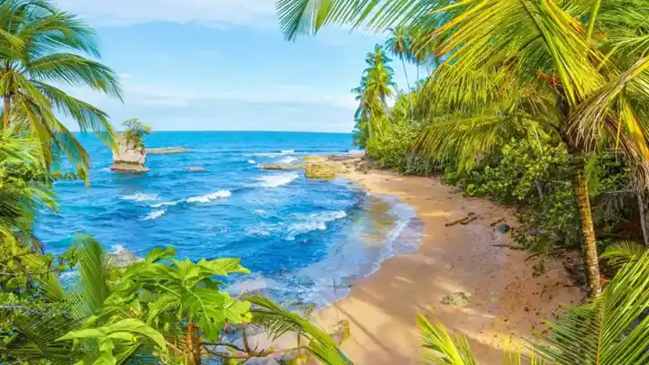 Supplied nature image · exact location to be confirmed